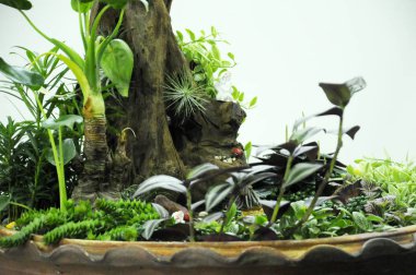 Kuala Lumpur, Malezya-28 Mart 2018: küçük bitki ve diğer malzeme yapılmış minyatür Bahçe. Yaratıcı tasarımcılar formu muhteşem sahne göre düzenlenmiş. 