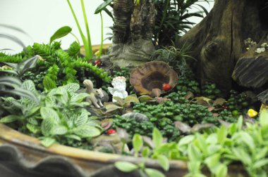 Kuala Lumpur, Malezya-28 Mart 2018: küçük bitki ve diğer malzeme yapılmış minyatür Bahçe. Yaratıcı tasarımcılar formu muhteşem sahne göre düzenlenmiş. 