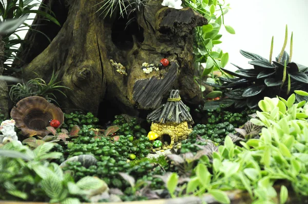 Kuala Lumpur Malaisie Mars 2018 Jardin Miniature Composé Petites Plantes — Photo