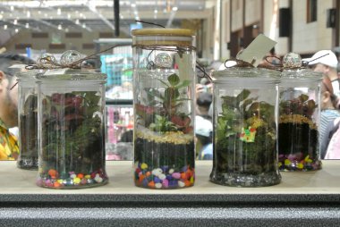 Kuala Lumpur, Malezya-18 Kasım 2018: küçük cam terrarium içinde küçük bitki. Onun yeşil kapalı alanına getirilmesini. 