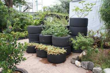 Kuala Lumpur, Malezya-24 Kasım 2018: bitki saksı kutusu üzerinden yapılmış kullanılan F1 yarış araba lastikleri. Doğrudan kullanılan veya her ile yığılmış diğer dikilen ağaç boyutuna göre.