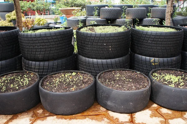 クアラルンプール マレーシア 2018 植物のプランター ボックスですから作られて使用される レース車のタイヤ 植えられた樹木のサイズに基づいて他の直接使用または各集合 — ストック写真