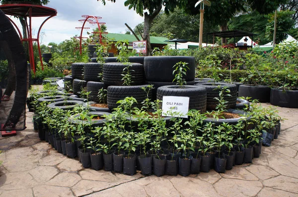Kuala Lumpur Malaisie Novembre 2018 Jardinière Plantes Est Fabriquée Partir — Photo