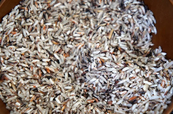 Wybrane Koncentruje Się Surowy Ryż Brązowy Lub Nasion Paddy Brązowy — Zdjęcie stockowe