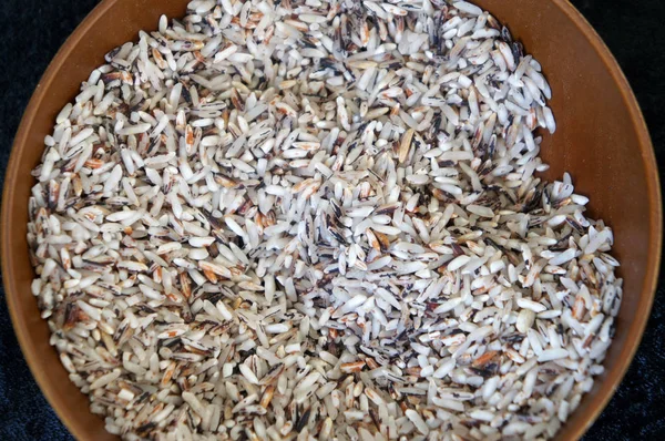 Wybrane Koncentruje Się Surowy Ryż Brązowy Lub Nasion Paddy Brązowy — Zdjęcie stockowe