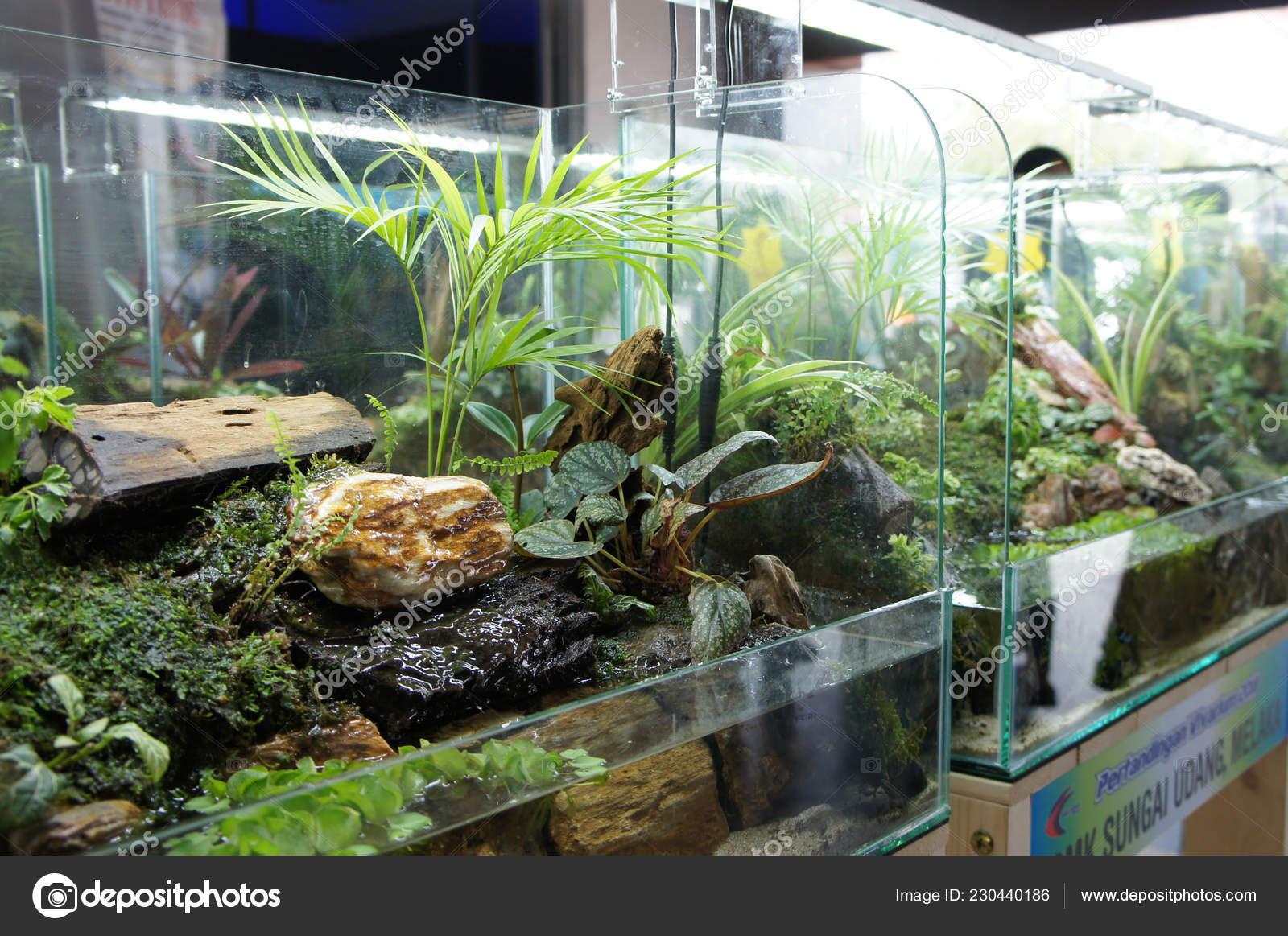 520 Design Aquarium HD Terbaru