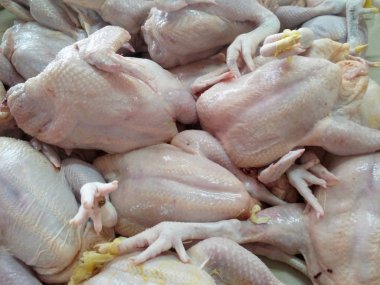 Çiğ tavuk kestim. Satılık buzlu bir tepsi koymak.