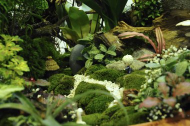 Kuala Lumpur, Malezya-28 Mart 2018: küçük bitki ve diğer malzeme yapılmış minyatür Bahçe. Yaratıcı tasarımcılar formu muhteşem sahne göre düzenlenmiş. 