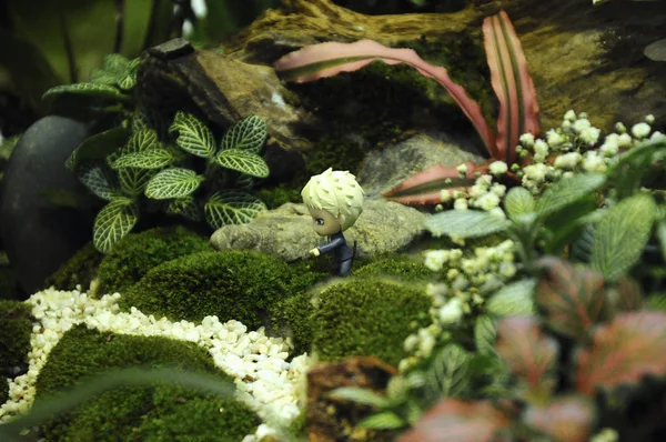 Kuala Lumpur, Malezya-28 Mart 2018: küçük bitki ve diğer malzeme yapılmış minyatür Bahçe. Yaratıcı tasarımcılar formu muhteşem sahne göre düzenlenmiş. 