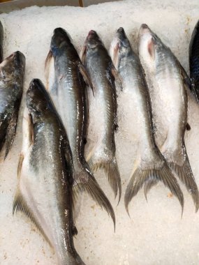 Kuala Lumpur, Malezya -14 Temmuz 2019: Balık pazarında çeşitli balık türleri satışa sunuldu. Balık türleri ve fiyatları ile etiketlenmiş.