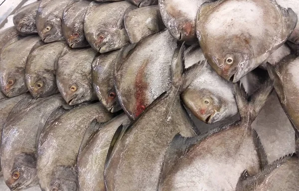 Kuala Lumpur Malaysia July 2019 Рынке Рыбы Выставлены Продажу Различные — стоковое фото