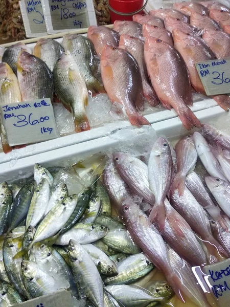 Kuala Lumpur Malaysia July 2019 Vários Tipos Peixes Mercado Peixe — Fotografia de Stock