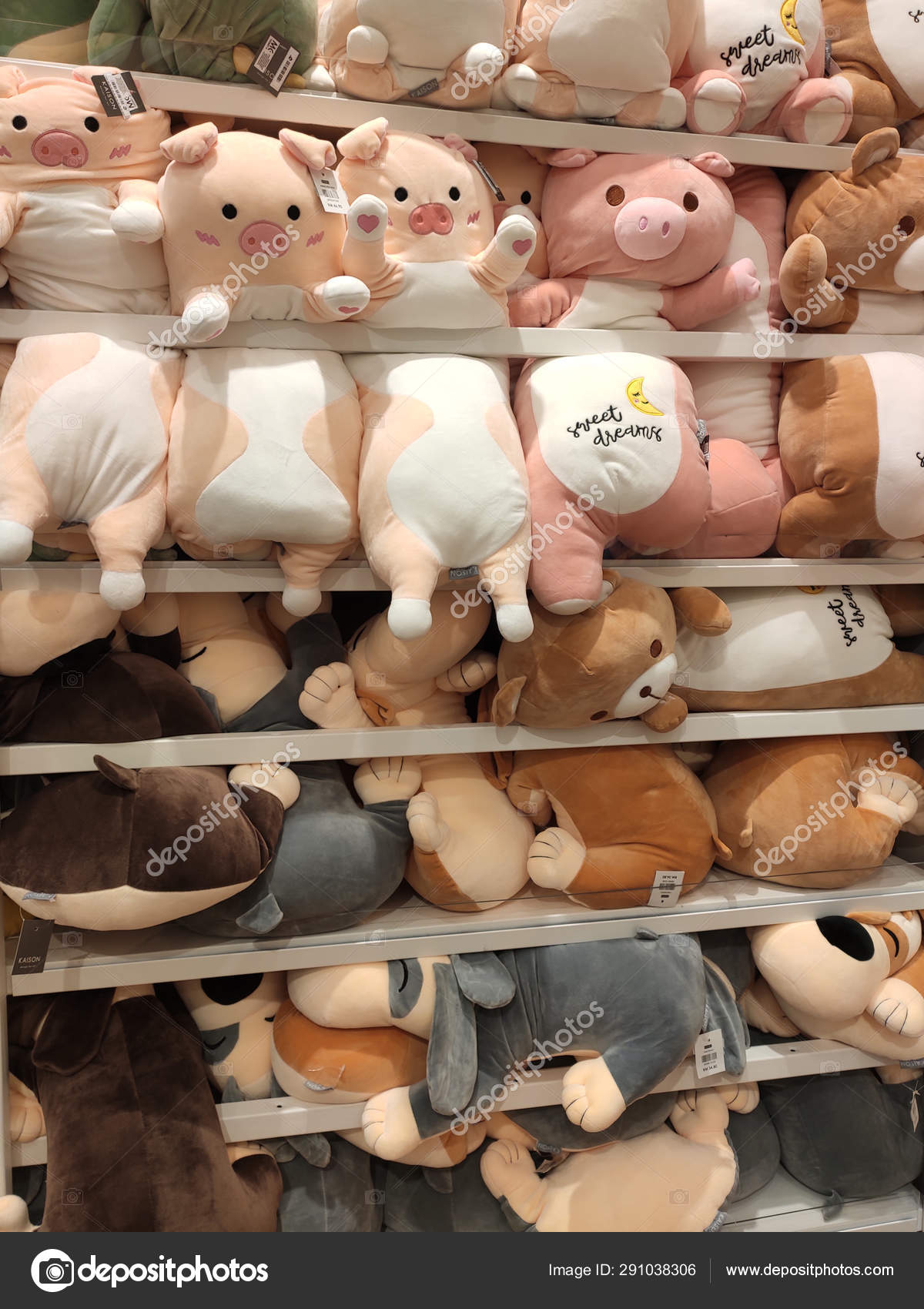 kaison teddy bear