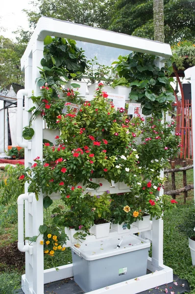 Kuala Lumpur Maleisië November 2018 Groenten Bloemen Plantenkwekerij Geplant Met — Stockfoto