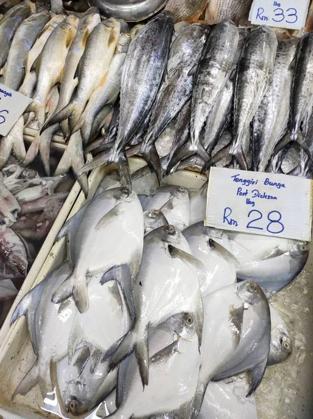 Kuala Lumpur Malaisie Juillet 2019 Différents Types Poissons Sur Marché — Photo