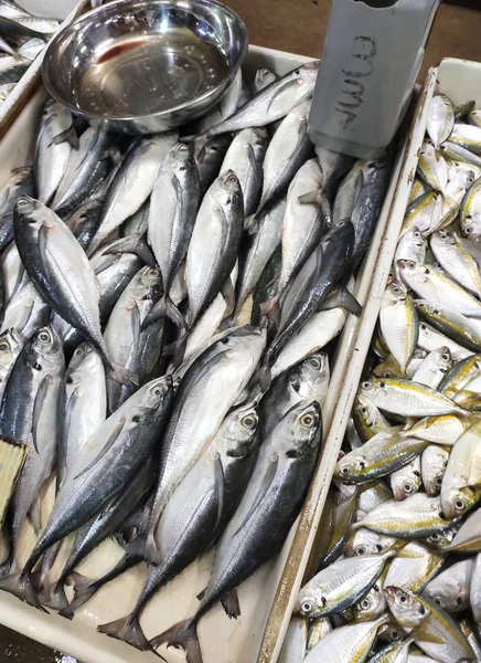 Куала Лумпур Малайзія Липня 2019 Різні Види Риб Рибний Ринок — стокове фото