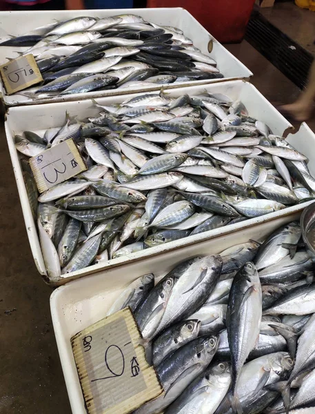 Kuala Lumpur Malaysia July 2019 Рынке Рыбы Выставлены Продажу Различные — стоковое фото