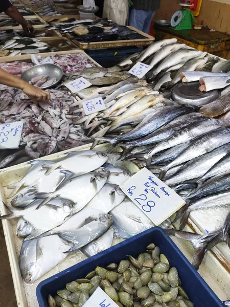 Kuala Lumpur Malaisie Juillet 2019 Différents Types Poissons Sur Marché — Photo