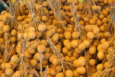 Mata Kuching meyve veya bilimsel adı Euphoria Malaiense olduğunu