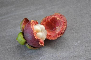 Seçici olgun mangosten izole odaklanmış