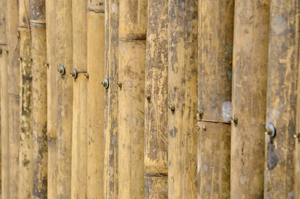 Разрез Длину Бамбука Используется Качестве Стены Ограждения Соединение Помощью Оцинкованной — стоковое фото