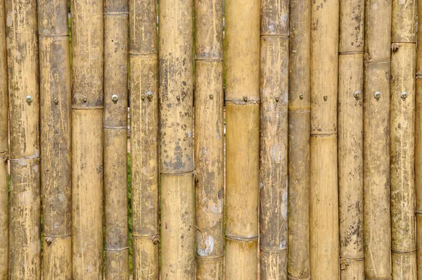 Corte Comprimento Bambu Usado Como Uma Parede Esgrima Junção Usando — Fotografia de Stock