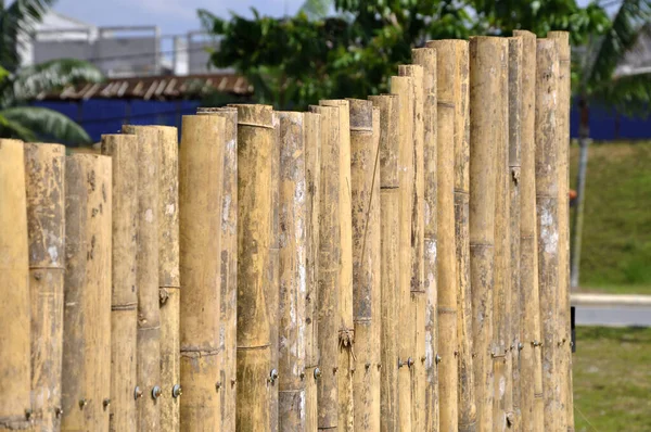 Rozřezaný Délku Bambus Používaný Jako Oplocená Stěna Spoj Dohromady Pomocí — Stock fotografie