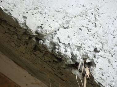 Bal peteği sorunu olan yeni beton yüzey ve içerideki takviye çubuğu açığa çıkarıyor. Sorun somut kuvveti zayıflatıyor.. 