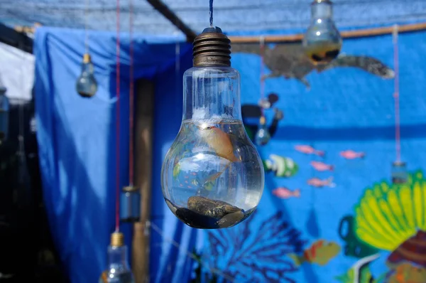 Lâmpadas Reciclagem São Feitas Aquários Para Pequeno Peixe — Fotografia de Stock