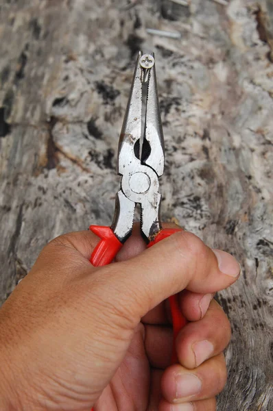 Lange Neus Tang Hout Korrel Achtergrond — Stockfoto