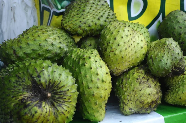 Soursop Nombre Científico Annona Muricata Crecer Clima Tropical —  Fotos de Stock