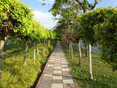 PUTRAJAYA, MALAYSIA - 30 Mayıs 2017: kamu parkındaki yaya geçidi. Çiçeklerle süslenmiş ve ağaçlarla gölgelenmiş.. 