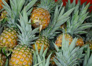 SERDANG, MALAYSIA - 30 Eylül 2017: Piyasadaki çiftçi masasında hasat edilen ve satılmak üzere sergilenen ananas meyveleri. 