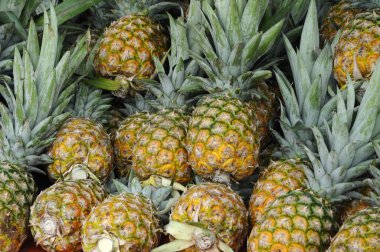 SERDANG, MALAYSIA - 30 Eylül 2017: Piyasadaki çiftçi masasında hasat edilen ve satılmak üzere sergilenen ananas meyveleri. 
