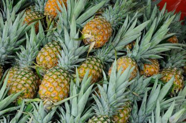 SERDANG, MALAYSIA - 30 Eylül 2017: Piyasadaki çiftçi masasında hasat edilen ve satılmak üzere sergilenen ananas meyveleri. 