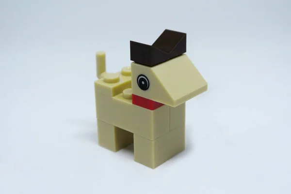 Vybraný Zaměřený Tvar Psa Vyrobeného Plastových Hraček Bloků Izolovaného Bílém — Stock fotografie