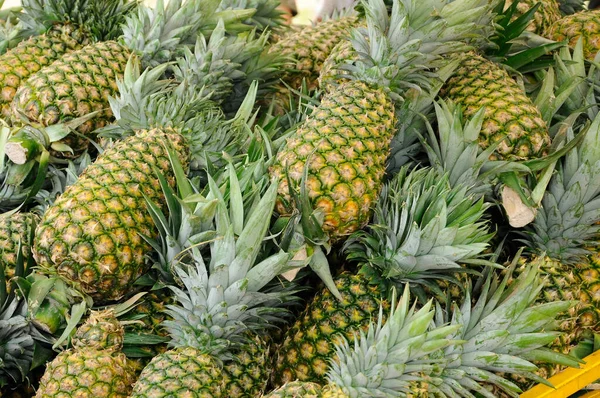 Serdang Malaysia Září 2017 Sklizené Ananasové Plody Jejich Prodej Farmářském — Stock fotografie