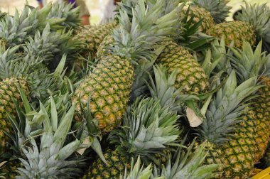 SERDANG, MALAYSIA - 30 Eylül 2017: Piyasadaki çiftçi masasında hasat edilen ve satılmak üzere sergilenen ananas meyveleri. 