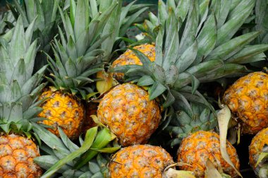 SERDANG, MALAYSIA - 30 Eylül 2017: Piyasadaki çiftçi masasında hasat edilen ve satılmak üzere sergilenen ananas meyveleri. 