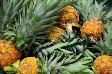 SERDANG, MALAYSIA - 30 Eylül 2017: Piyasadaki çiftçi masasında hasat edilen ve satılmak üzere sergilenen ananas meyveleri. 