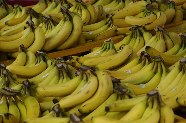 Serdang Malaysia Septembro 2017 Colheita Banana Pelos Agricultores Exibe Aberto — Fotografia de Stock