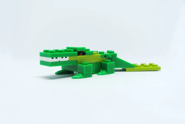 Shape Green Crocodile Made Colourful Plastic Toy Bricks Royalty Free Stock Photos