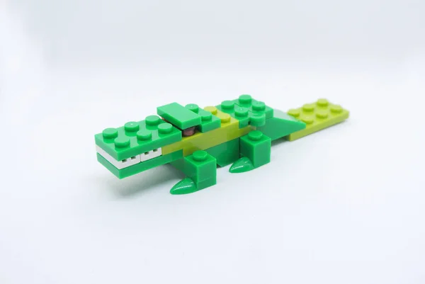 Shape Green Crocodile Made Colourful Plastic Toy Bricks Stock Image