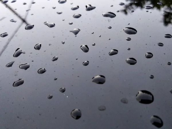 Sélectionné Concentrant Sur Les Gouttes Pluie Rosée Sur Les Surfaces — Photo