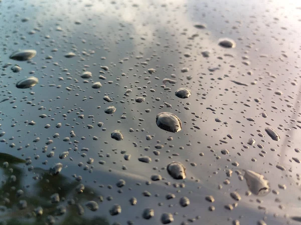 표면에 빗방울과 이슬에 초점을 맞추도록 선택되었습니다 물방울들은 햇빛에 노출되면 사라질 — 스톡 사진
