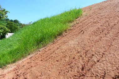 SEREMBAN, MALAYSIA - 6 Mart 2020: Erozyonu önlemek için yakın turing yöntemini kullanarak kalıcı eğim koruması. Yöntem için seçilen çimen türü. Otlar eğim yapısını da dengeler..