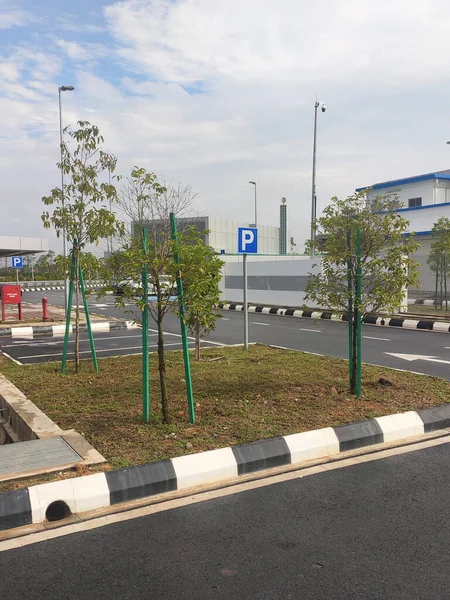 Seremban Malaysia March 2020 Landscape Work New Trees Planted Supported — Stock Photo, Image