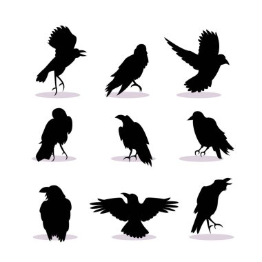 Beyaz arkaplanda karga siluetleri izole edildi