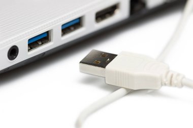 USB beyaz arkaplanda dizüstü bilgisayara bağlanıyor.