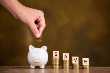 Para biriktirmek için domuzcuğa para koyan kadın eli. Gelecek plan ve emeklilik fonu kavramı için para biriktirme.